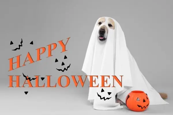 Happy Halloween from RatePro Mortgage